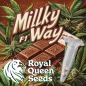 Preview: Milky Way F1 Auto (Autoflower)